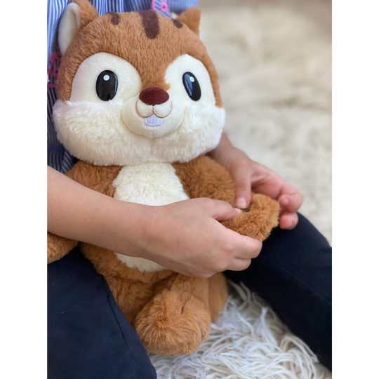 Copy Chat Chipmunk Plush - Repeats What You Say