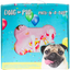 Doug The Pug Party in a Box!