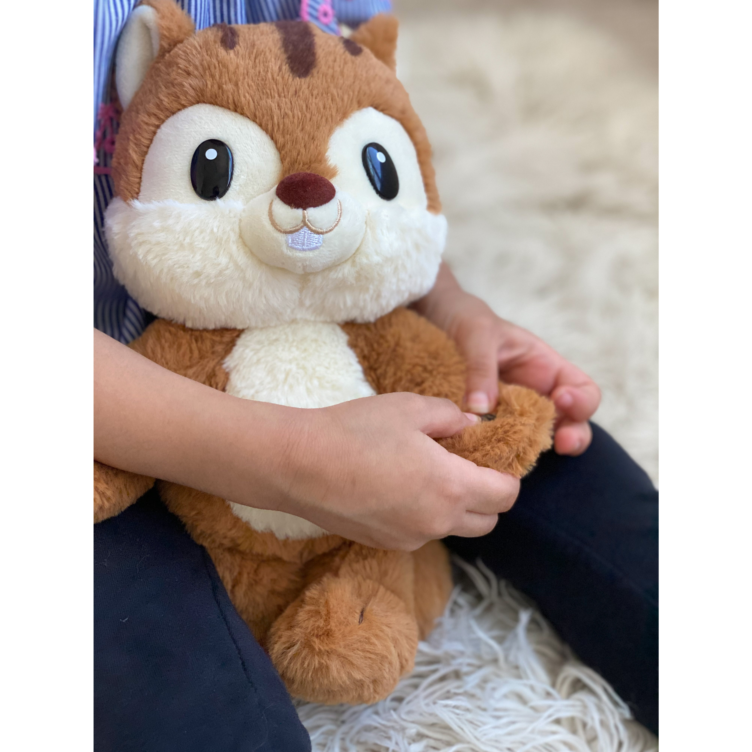 Copy Chat Chipmunk Plush - Repeats What You Say