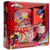 Miraculous Ladybug Party in a Box!